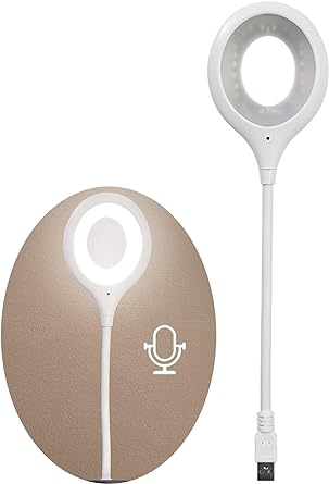 USB Voice Control Reading Lamp
